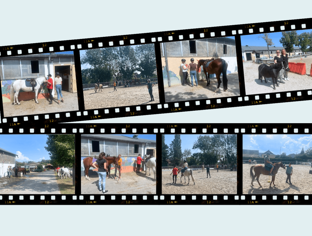 photos de la formation équithérapie reçue par les agents des HCC.