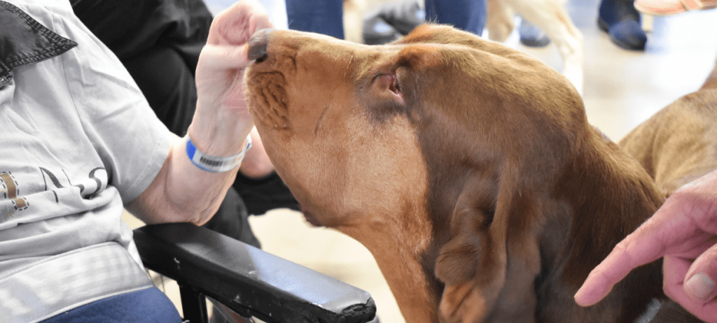 Médiation canine pour les résidents du CPA