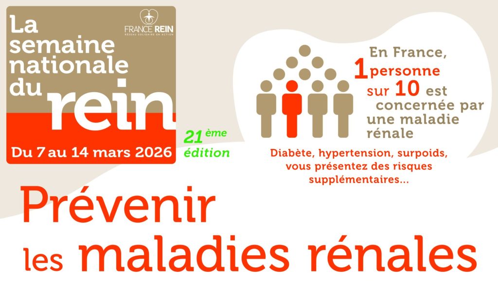 Prévention des maladies rénales chroniques : journée de dépistage